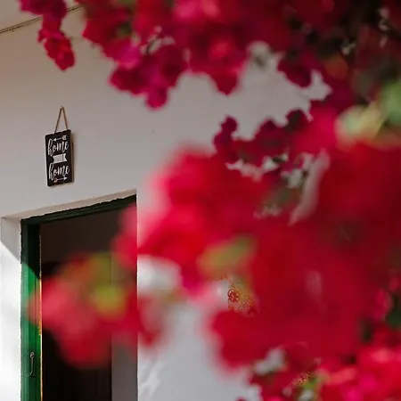 Casa Rural Femy 1 Holiday home